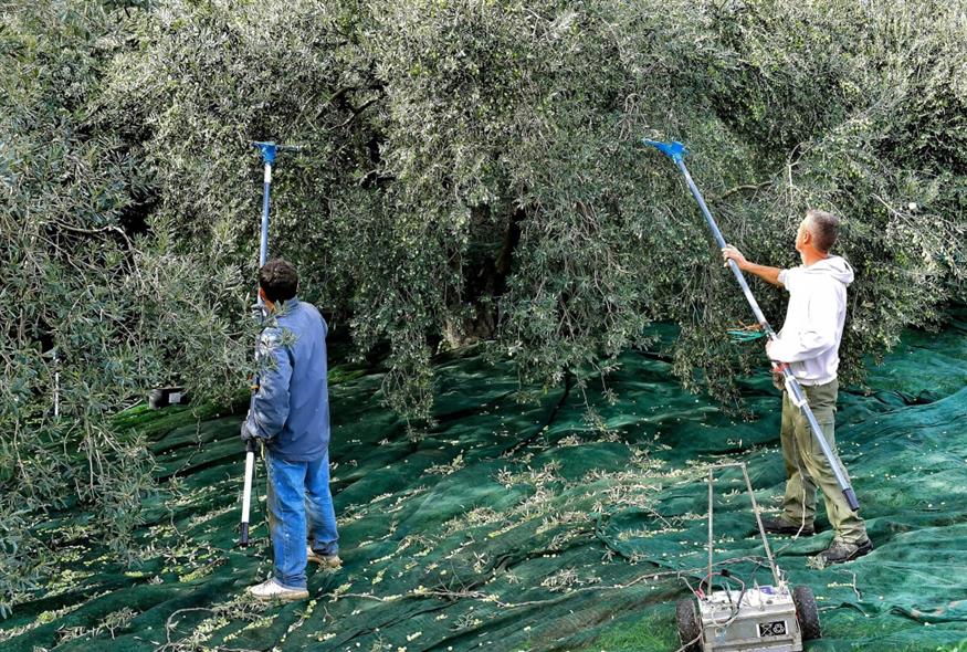 (INTIME NEWS/ΨΩΜΑΣ ΒΑΣΙΛΗΣ)