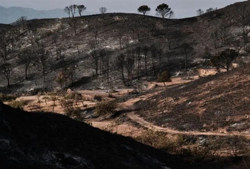 Φωτιές στην Ισπανία (AP) Φωτιές στην Ισπανία (AP)