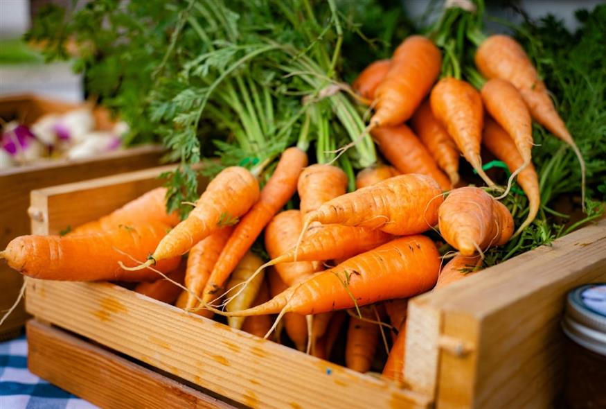 Καρότα (Unsplash)