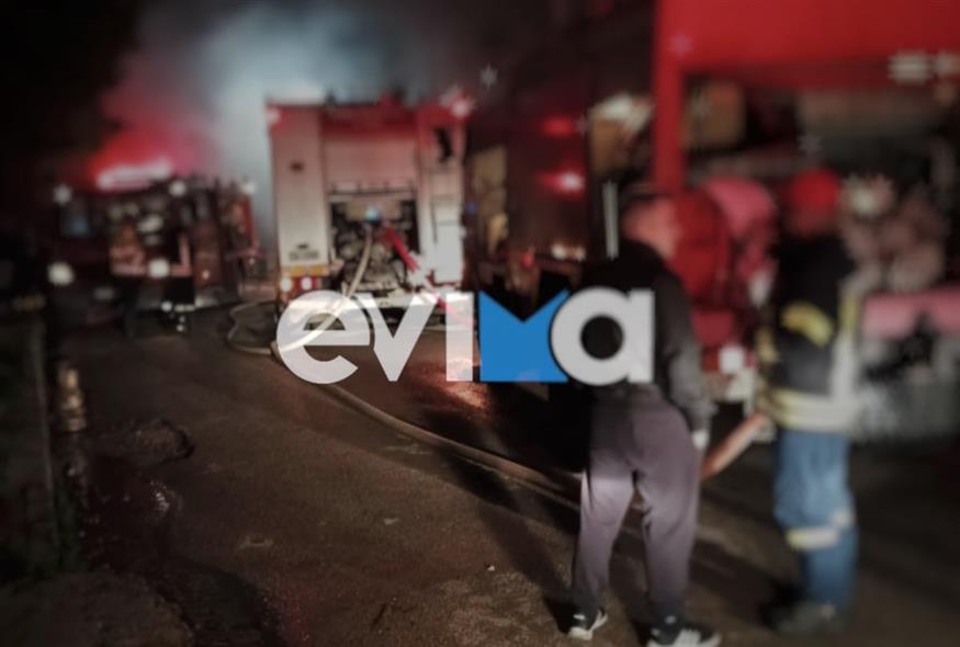 Φωτιά στην Εύβοια