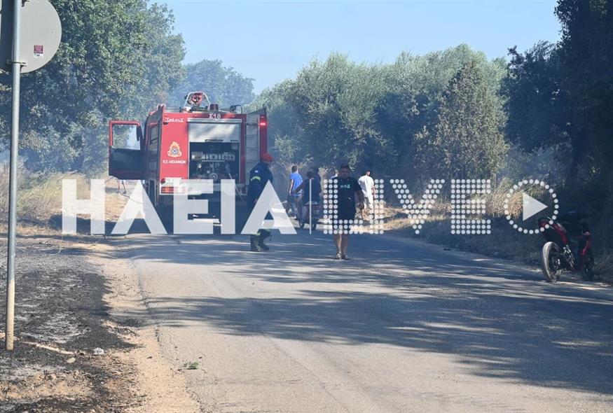Ηλεία, πυρκαγιά στη Βάρδα (ilialive.gr)