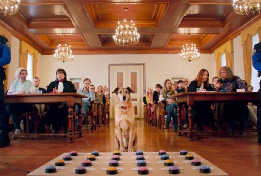 Η δίκη ενός σκύλου (ΑΠΕ-ΜΠΕ)