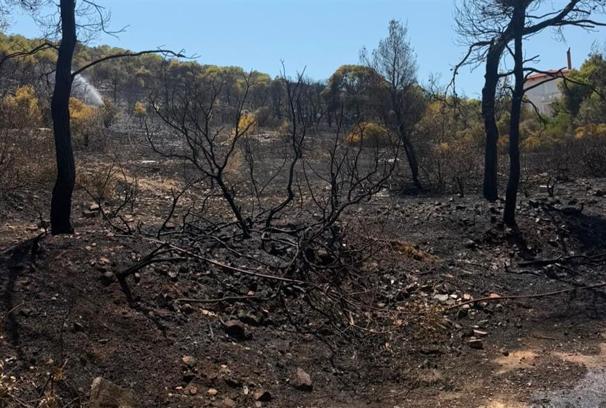 Η δημοτική αρχή καταγγέλλει ότι ξεκίνησε από αυτή την κολώνα η φωτιά στη Σαλαμίνα Η δημοτική αρχή καταγγέλλει ότι ξεκίνησε από αυτή την κολώνα η φωτιά στη Σαλαμίνα