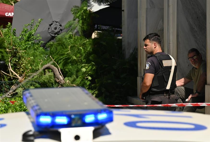 Πτώση δέντρου (INTIME)