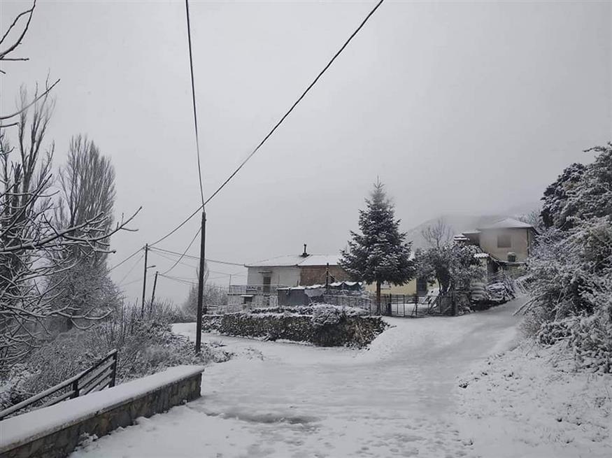 Η «Ζηνοβία» έφερε χιόνια στο Κεφαλόβρυσο, δήμου Άργους Μυκηνών, ορεινή Αργολίδα (φωτο Εξ.-Πολ. Σύλλογος Κεφαλοβρύσου - Eurokinissi)