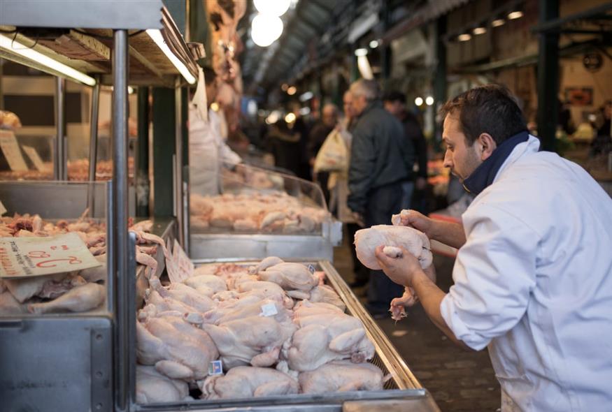 Κοτόπουλα (INTIME NEWS/ΤΟΣΙΔΗΣ ΔΗΜΗΤΡΗΣ)