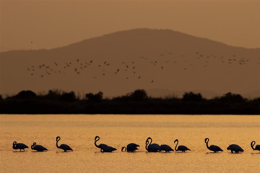 Όταν πέφτει ο ήλιος στο Μεσολόγγι
