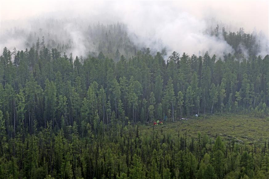 Copyright: Russian Federal Agency of Forestry via AP