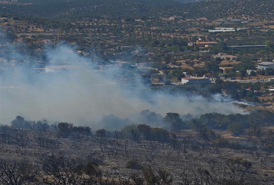 Πανοραμικό βίντεο του ethnos.gr από την περιοχή που κάηκε στη Βάρης-Κορωπίου