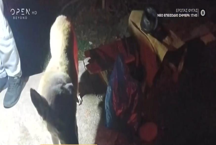 Σκύλος καθοδήγησε με το γάβγισμα του τους διασώστες στο πηγάδι που είχε πέσει το αφεντικό του/video capture