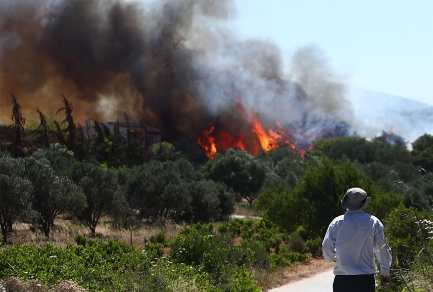 Πύρινη κόλαση στη Ραφήνα (gallery) Πύρινη κόλαση στη Ραφήνα (gallery)
