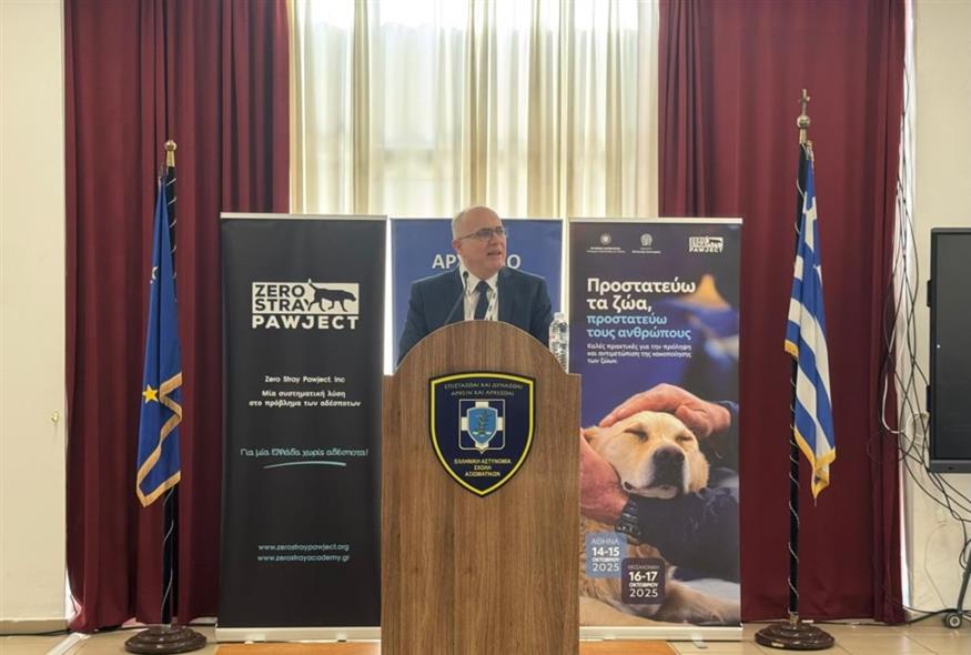 Τα αδέσποτα ως εύκολη λεία για κακοποιητές και δείκτης αύξησης της εγκληματικότητας Τα αδέσποτα ως εύκολη λεία για κακοποιητές και δείκτης αύξησης της εγκληματικότητας