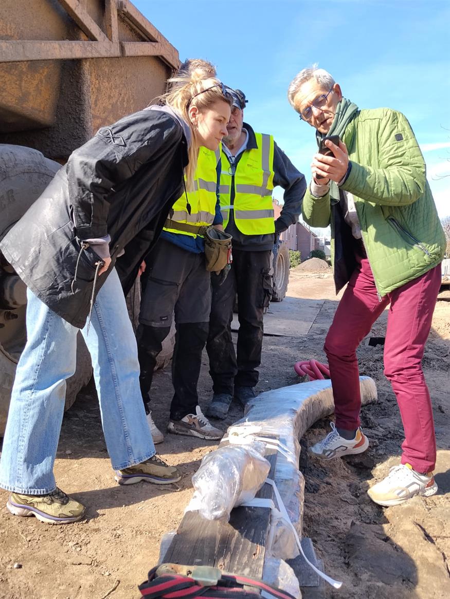 Πλοίο των Βίκινγκ