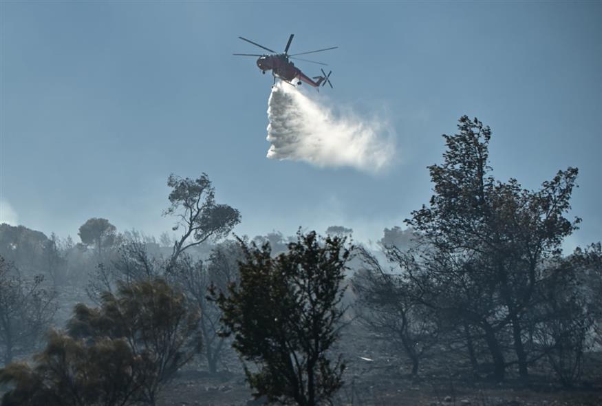 ΠΥΡΚΑΓΙΑ ΣΤΗΝ ΚΑΜΕΝΑ ΤΗΣ ΑΡΧΑΙΑΣ ΟΛΥΜΠΙΑΣ (ΓΙΑΝΝΗΣ ΣΠΥΡΟΥΝΗΣ/ILIALIVE.GR/EUROKINISSI)