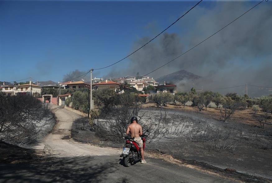 Φωτιά στην Παλαιά Φώκαια (ΚΩΣΤΑΣ ΤΖΟΥΜΑΣ & ΣΩΤΗΡΗΣ ΔΗΜΗΤΡΟΠΟΥΛΟΣ/EUROKINISSI)