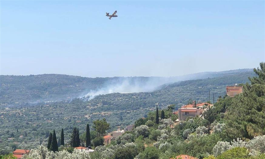 Μαίνεται η φωτιά στη Χίο (ethnos.gr)