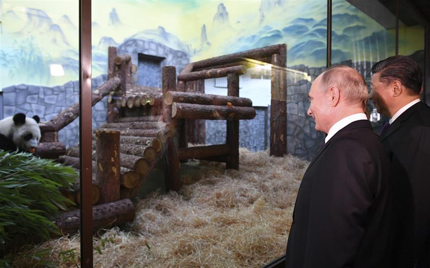Οι Πρόεδροι και το ένα εκ των δύο πάντα (Alexander Vilf, Sputnik, Kremlin Pool Photo via AP)