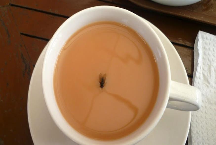 Τσάι με μύγα