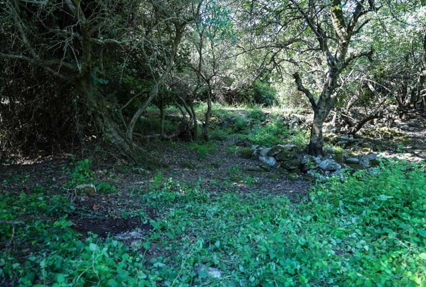 Το σημείο όπου βρέθηκε η σορός του 33χρονου γιατρού Αλέξη Τσικόπουλου (INTIME NEWS / ΚΑΡΤΣΩΝΑΚΗΣ ΜΑΚΗΣ)