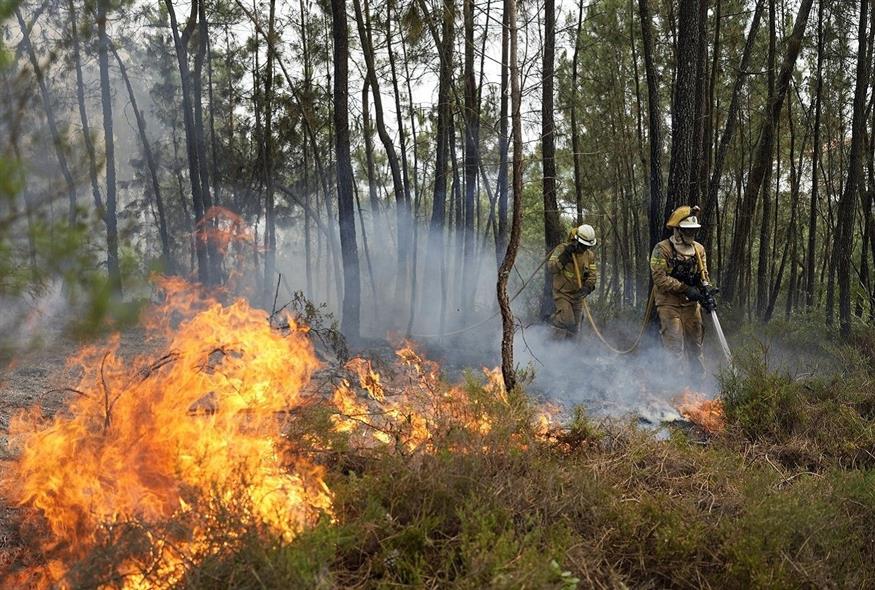 Δεκάδες δήμοι σε περιφέρειες της Πορτογαλίας βρίσκονται αντιμέτωποι με δασικές πυρκαγιές (Associated Press)