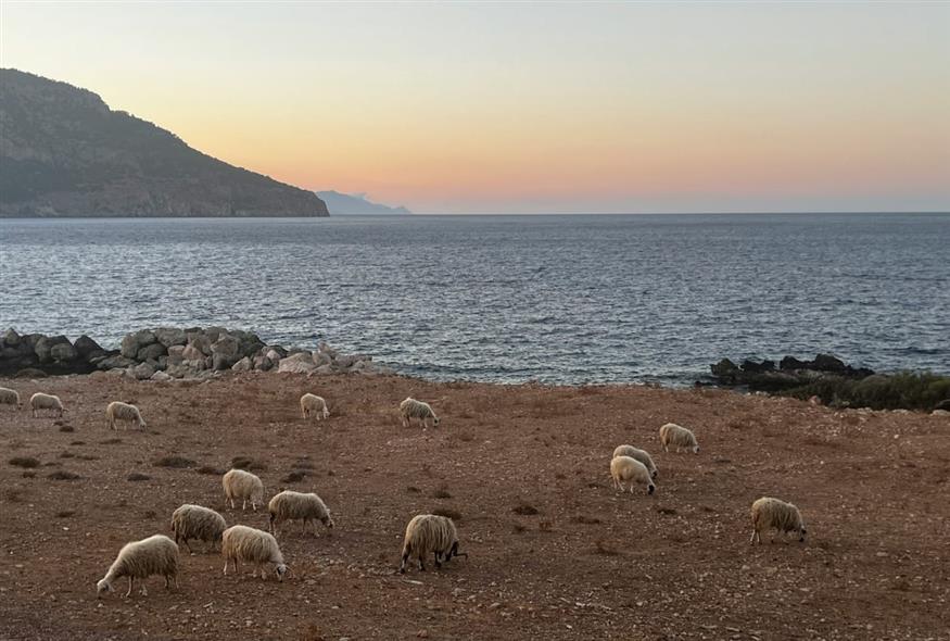 Κάρπαθος/unsplash