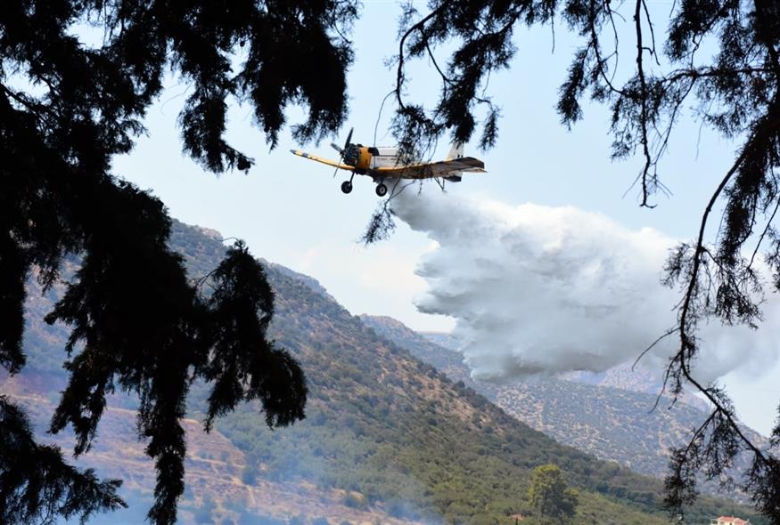 (Βασίλης Παπαδόπουλος/Eurokinissi)