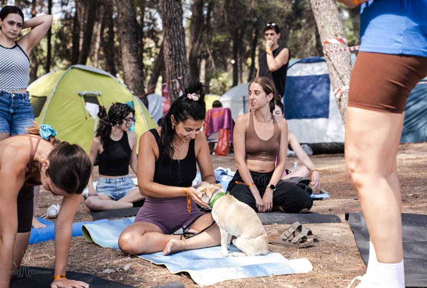 13ο Μουσικό Φεστιβάλ Ελάτειας 13ο Μουσικό Φεστιβάλ Ελάτειας