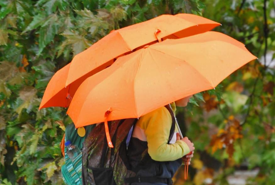 (EUROKINISSI/ΘΑΝΑΣΗΣ ΚΑΛΛΙΑΡΑΣ)