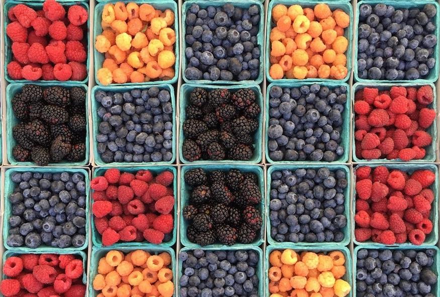 Παρά την υψηλή περιεκτικότητά τους σε αντιοξειδωτικά, τα μύρτιλα είναι στη λίστα φρούτων και λαχανικών, με τη μεγαλύτερη περιεκτικότητα σε χημικά και φυτοφάρμακα (φωτογραφία αρχείου/ Unsplash)