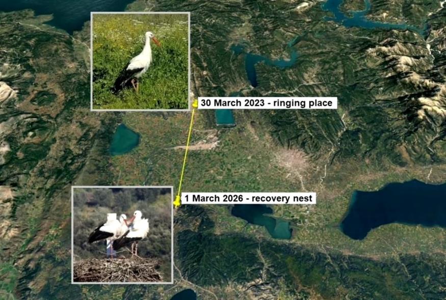 Οι διαδρομές του λευκοπελαργού (agrinionews.gr/Διονύσης Μαμάσης)