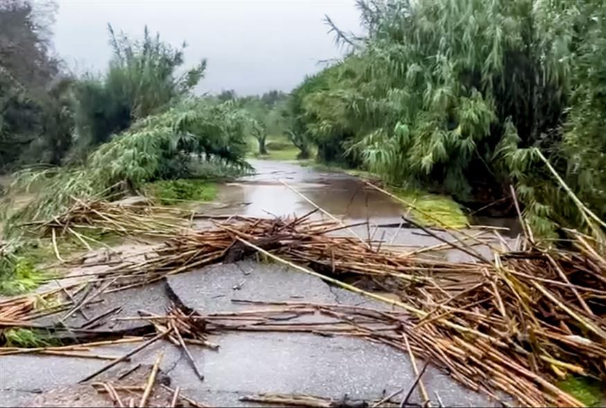 Καταστροφές από τη βροχή (APOHXOS.GR/EUROKINISSI)