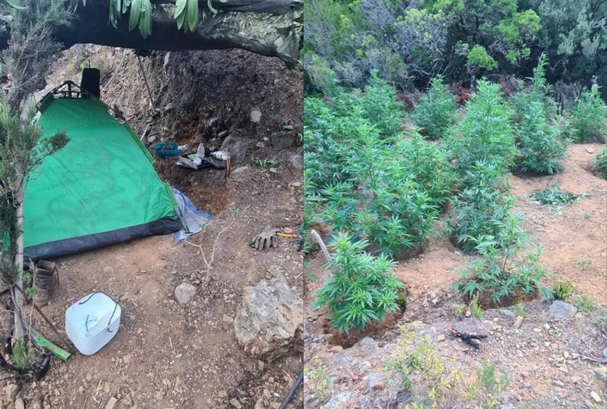 (Πηγή φωτογραφιών: Ελληνική Αστυνομία)