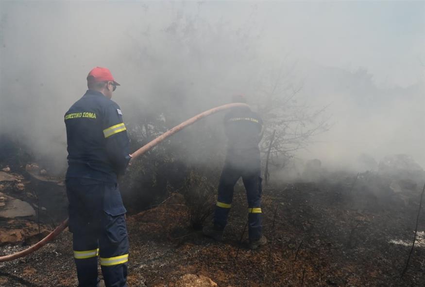 (Φωτογραφία αρχείου: ΒΑΣΙΛΗΣ ΠΑΠΑΔΟΠΟΥΛΟΣ /EUROKINISSI)