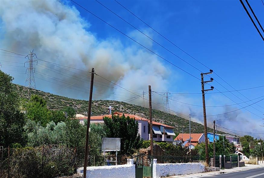 Πυροπροστασια Δασων Λαυρεωτικης / Facebook