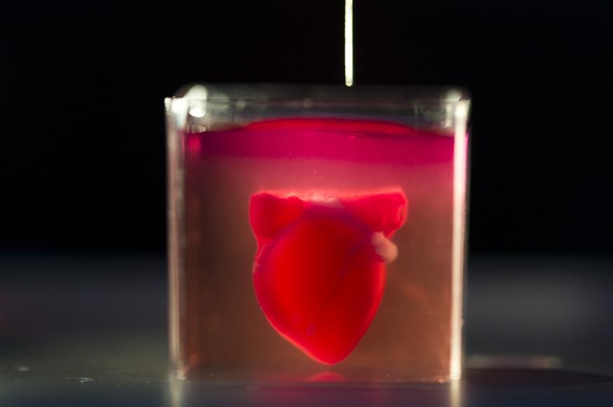 Αυτή είναι μια 3D εκτυπωμένη καρδιά. Θαύμα... (AP Photo/Oded Balilty)