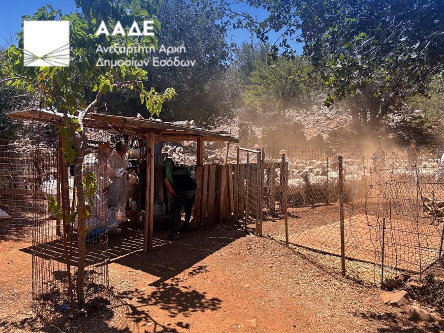 Πρόβατα στην Κρήτη Πρόβατα στην Κρήτη