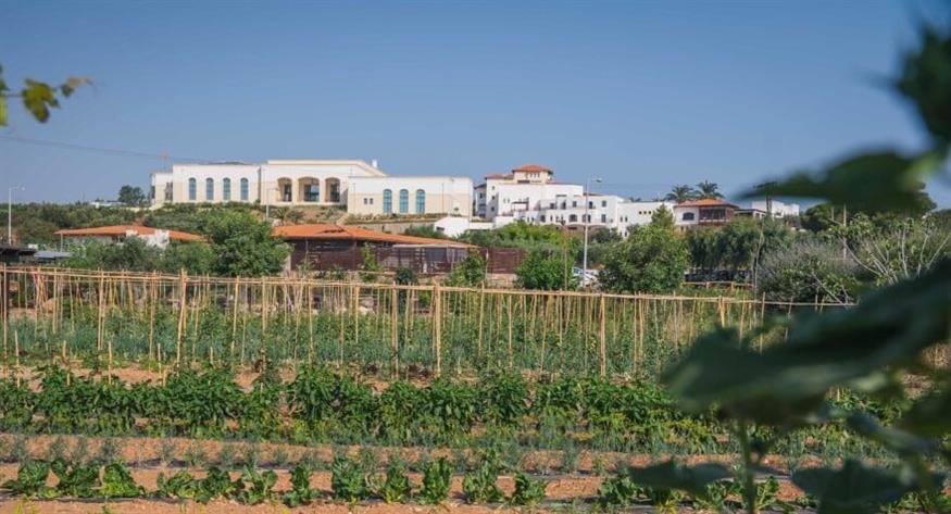 Metaxa Hospitality Group: Ο πρώτος Όμιλος φιλοξενίας στην Ελλάδα με πιστοποιημένες βιολογικές-αναγεννητικές γαίες από τη Δ.Η.Ω.