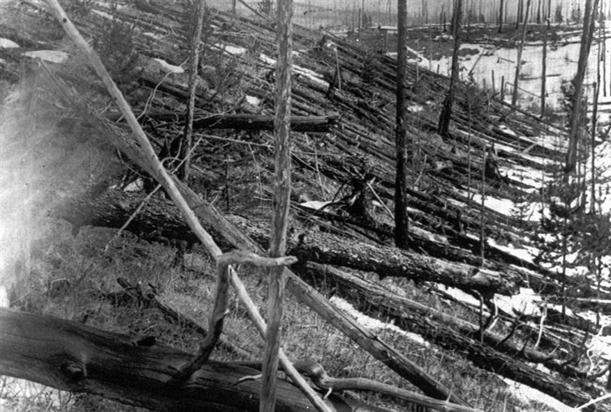 Σε αυτήν τη φωτογραφία του 1953, δέντρα βρίσκονται σκορπισμένα σε όλη την ύπαιθρο της Σιβηρίας 45 χρόνια μετά τη σύγκρουση του μετεωρίτη κοντά στην Tunguska. /copyright Ap Photos