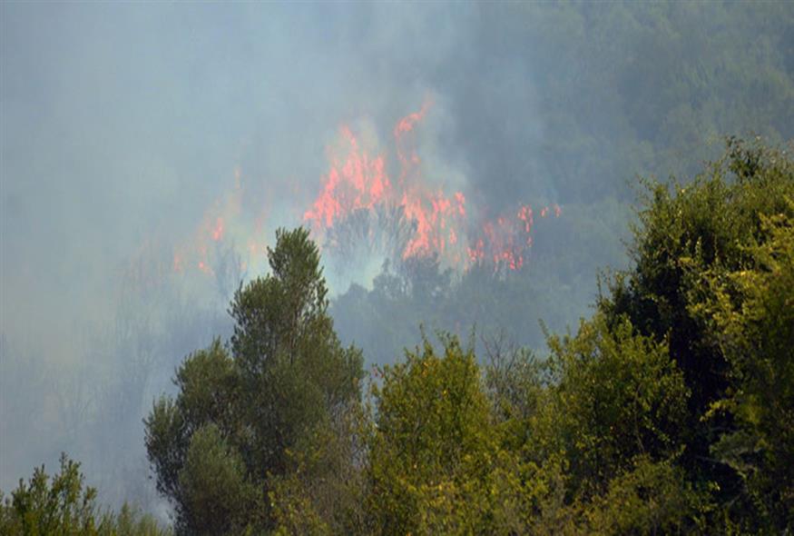 Φωτιά στην Καβάλα (proininews.gr)