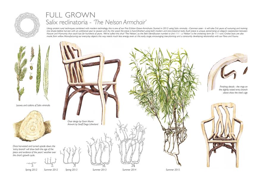 Πώς... φυτρώνει μια καρέκλα! (fullgrown.co.uk)