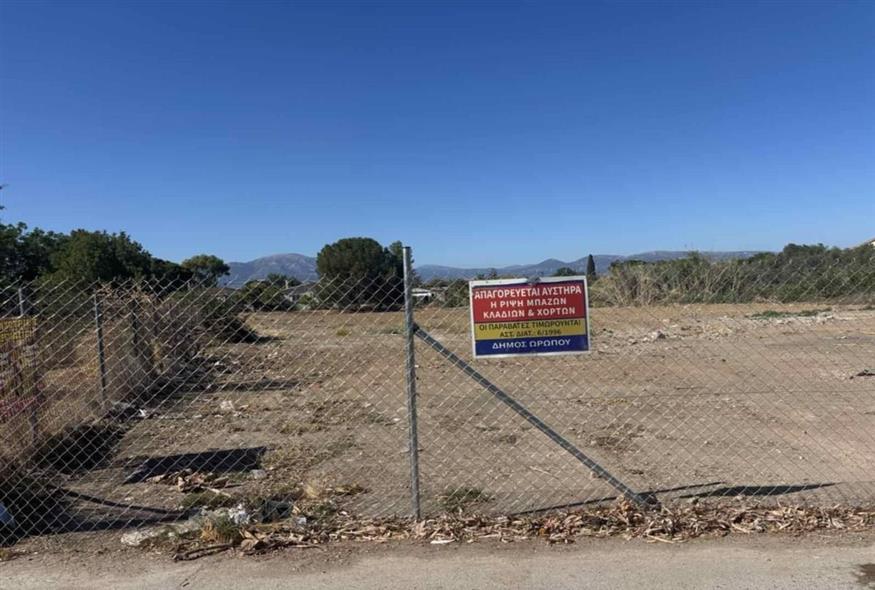 Καθαρισμένο οικόπεδο