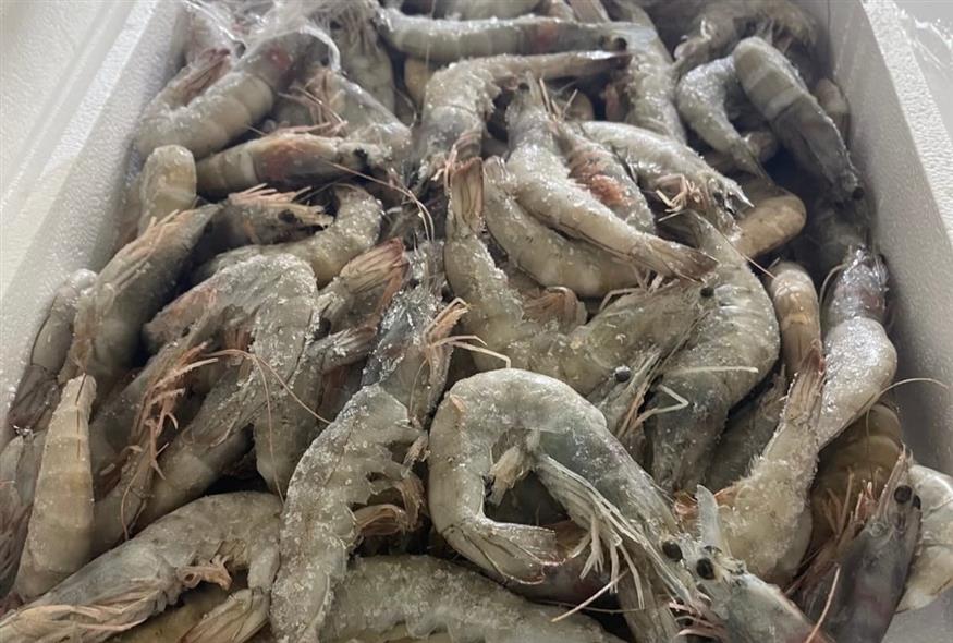 (Πηγή: Περιφέρεια Αττικής) (Πηγή: Περιφέρεια Αττικής)