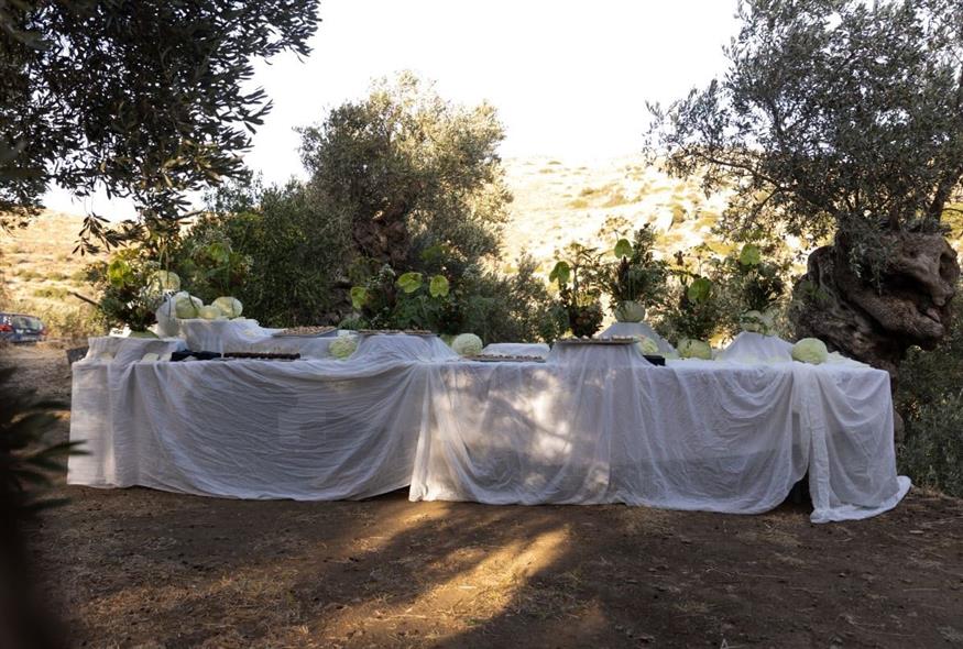 Μια βραδιά κάτω από την ελιά στη Νάξο (Φωτογραφίες: Ελευθερία Αλαβάνου)