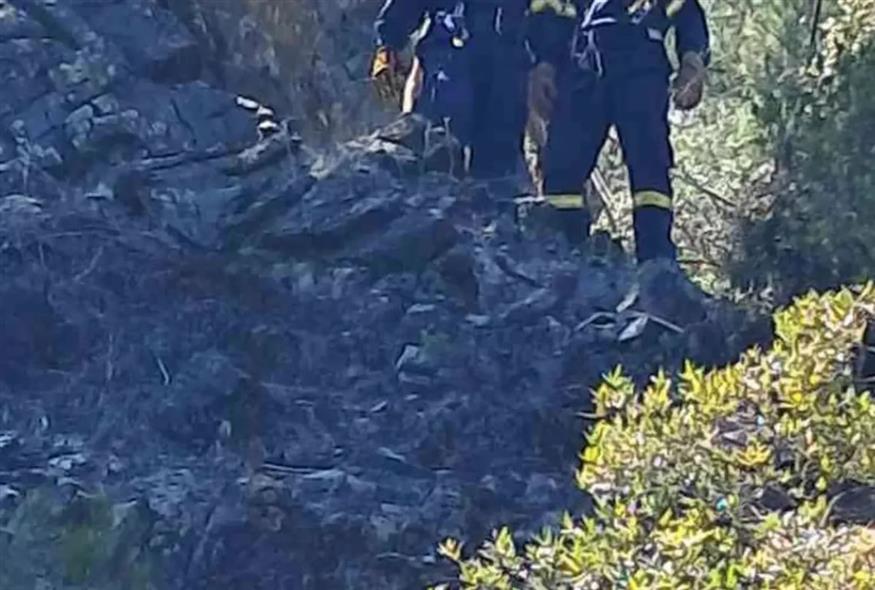 Φωτιά σε χωράφι στην Εύβοια (evianews.gr)