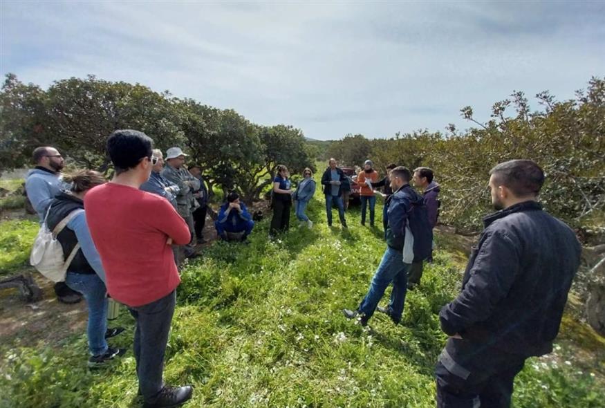 Μαστιχοχώρια Χίου