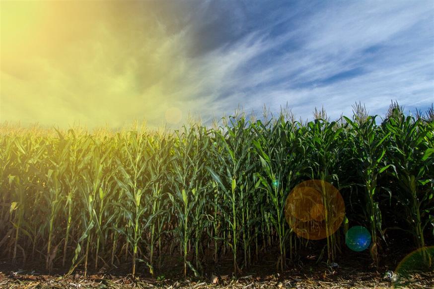 ΔΕΠΑ Εμπορίας