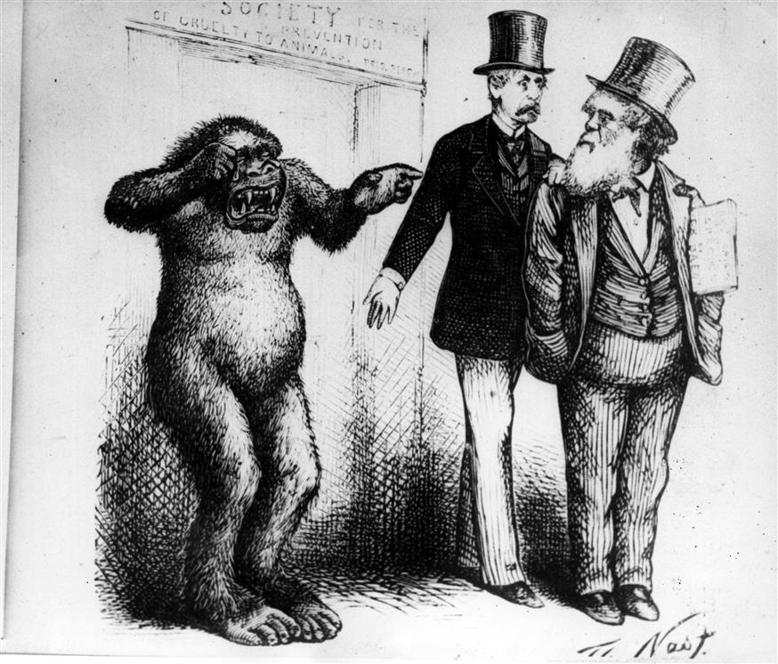Ο διάσημος σκιτσογράφος, Τόμας Νας σχολίασε τη θεωρία του Κάρολου Δαρβίνου ότι ο άνθρωπος πιθανότατα προήλθε από τον πίθηκο με αυτό το σκίτσο το 1871/copyright: AP PHOTOS