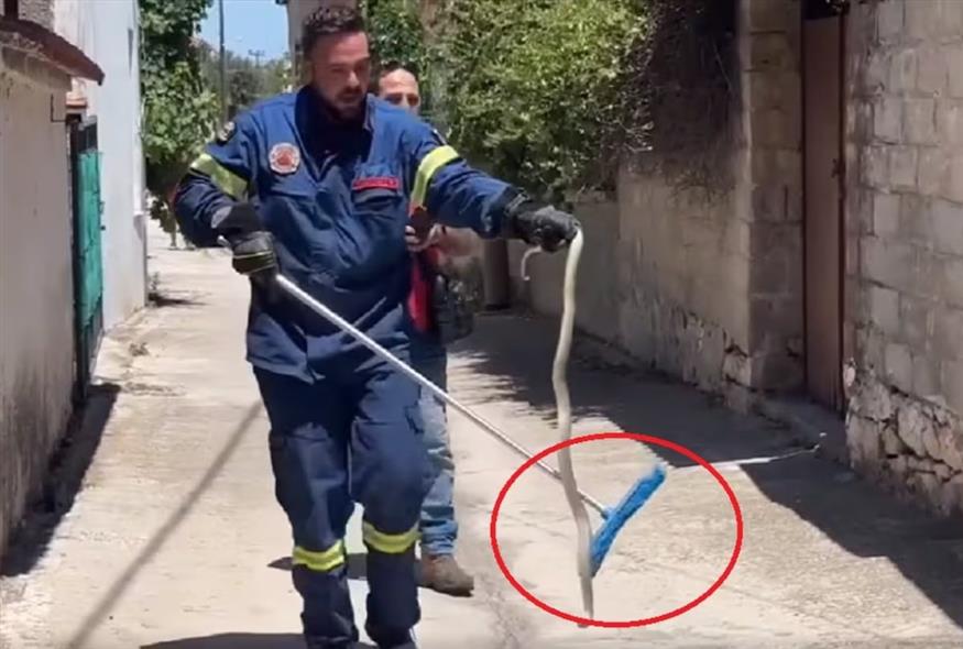 Πυροσβέστηκες πιάνει φίδι/Aeolostv