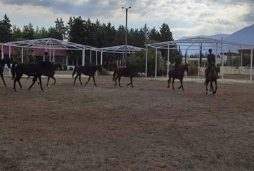 Τα άλογα της πρώτης Ίλης Ιππικού που δημιουργήθηκε μετά από 50 χρόνια