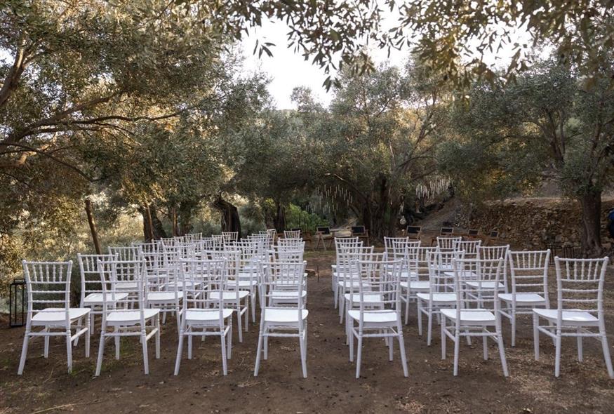 Μια βραδιά κάτω από την ελιά στη Νάξο (Φωτογραφίες: Ελευθερία Αλαβάνου)